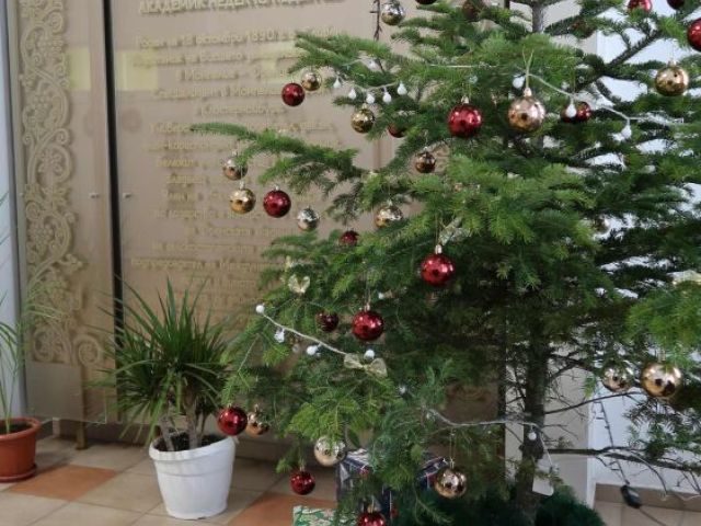 На 06.12.2024 г., Никулден, в Професионална гимназия по хотелиерство и туризъм „Академик Неделчо Неделчев“-Сливен грейнаха коледните светлини! [07.12.2024]