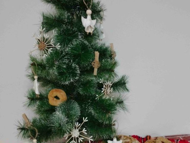 На 06.12.2024 г., Никулден, в Професионална гимназия по хотелиерство и туризъм „Академик Неделчо Неделчев“-Сливен грейнаха коледните светлини!